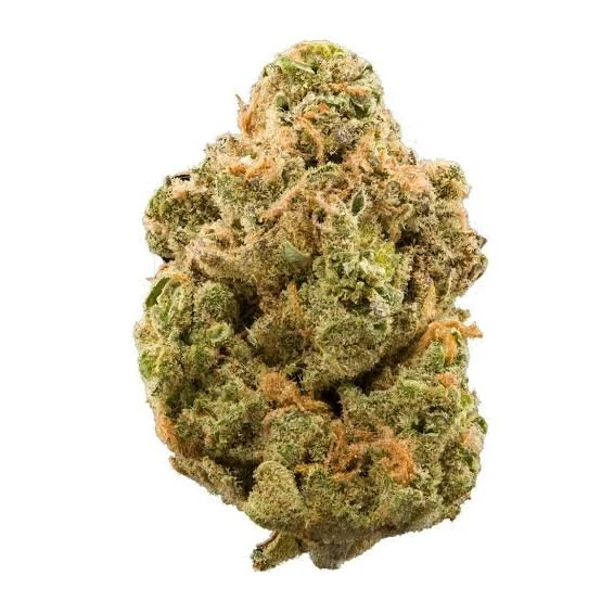 girl scout cookies kaufen-cannabisbloemen en andere kwaliteitsmerken in onze webshop tegen de scherpste prijzen. Betaal minder, geniet meer.