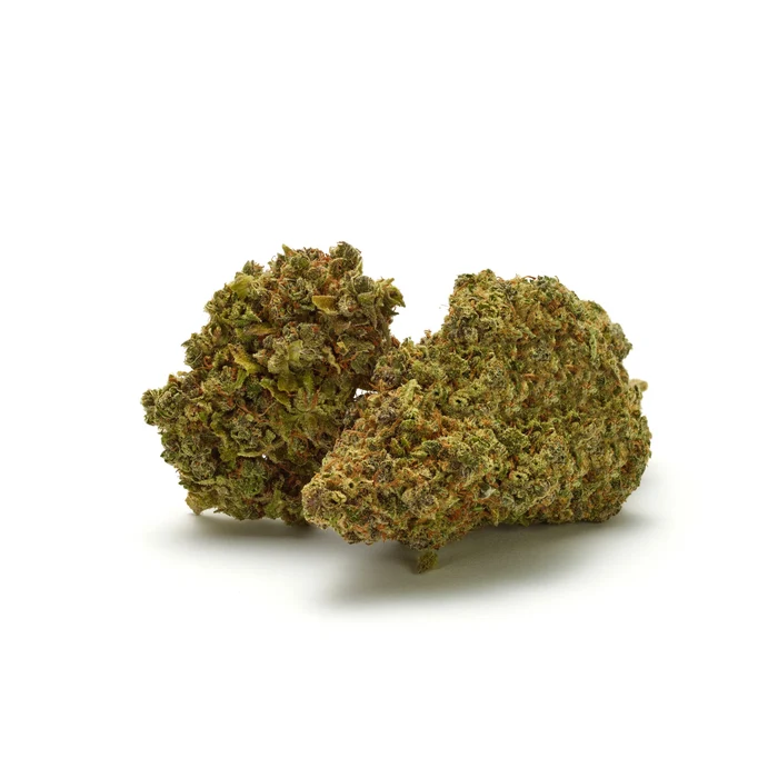 super silver haze kaufen-cannabis en andere hoogwaardige cannabissoorten in onze webshop tegen de scherpste prijzen. Betaal minder, geniet meer.