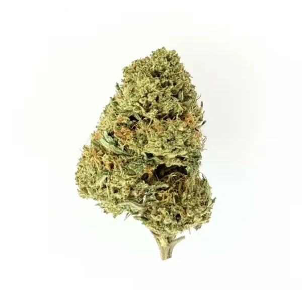 Koop White Widow-cannabis en andere hoogwaardige cannabissoorten in onze webshop tegen de scherpste prijzen. Betaal minder, geniet meer.