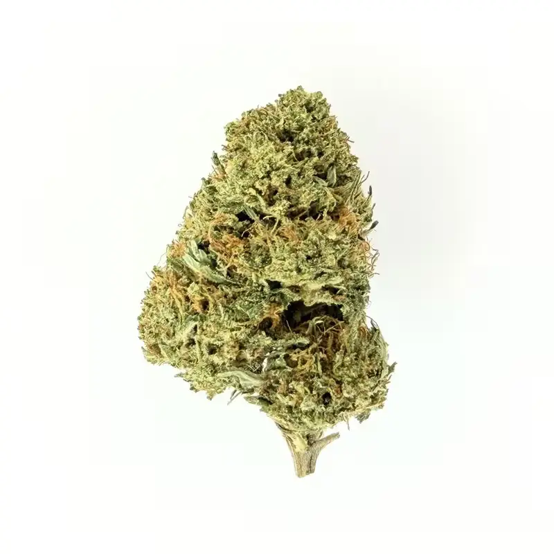 Koop White Widow-cannabis en andere hoogwaardige cannabissoorten in onze webshop tegen de scherpste prijzen. Betaal minder, geniet meer.